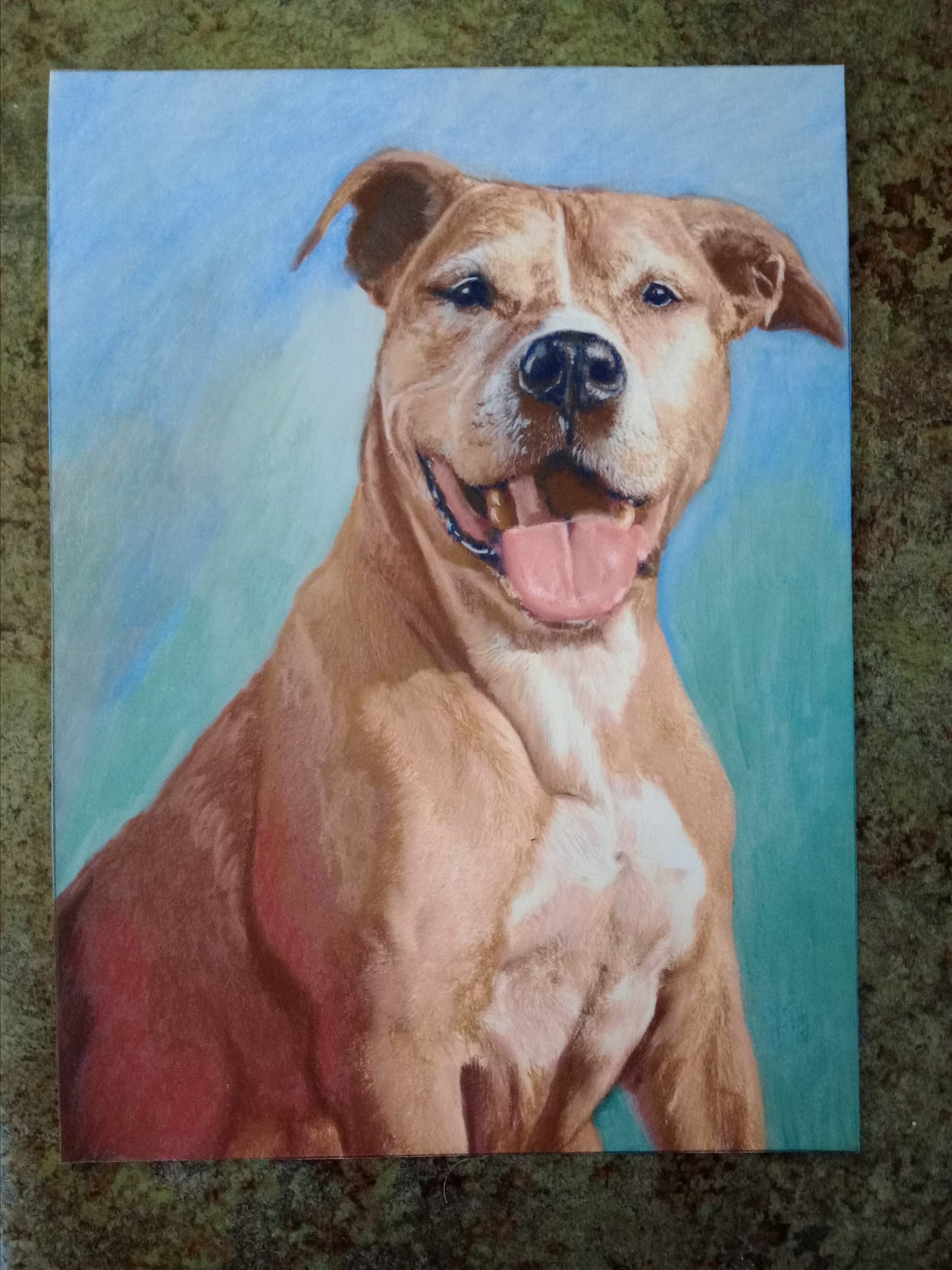 custom pastel pet portrait